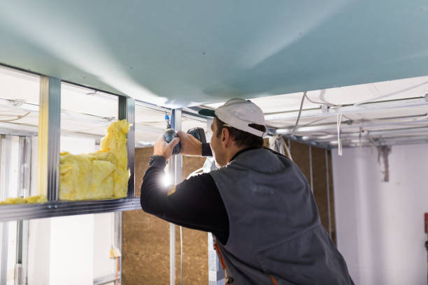 Best Soundproof Insulation  in Auburn, NY